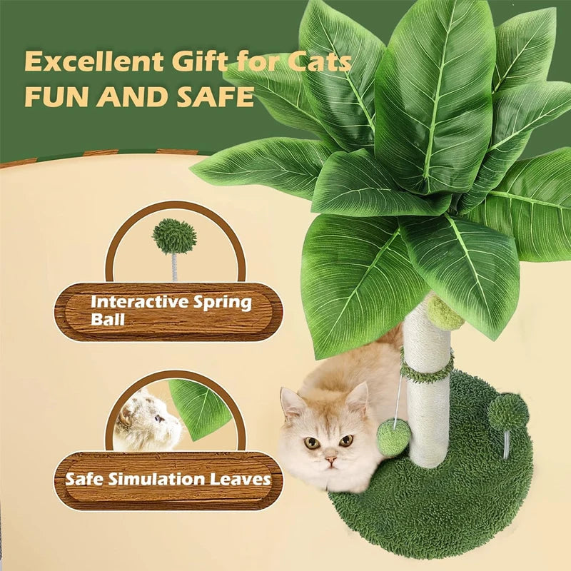 Cat Scratching Pos for Cats 65cm Tall Scratch Tree with Premium