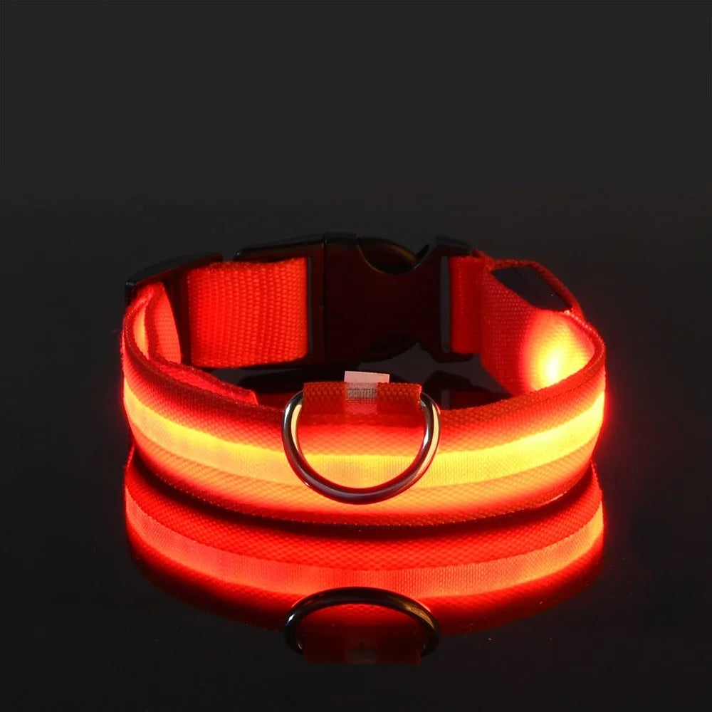 Dog Collar Nylon LED Night Safety Flashing Glow In The Dark Pet Dog