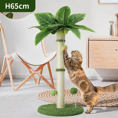 Cat Scratching Pos for Cats 65cm Tall Scratch Tree with Premium