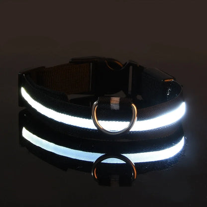 Dog Collar Nylon LED Night Safety Flashing Glow In The Dark Pet Dog