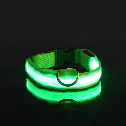 Dog Collar Nylon LED Night Safety Flashing Glow In The Dark Pet Dog