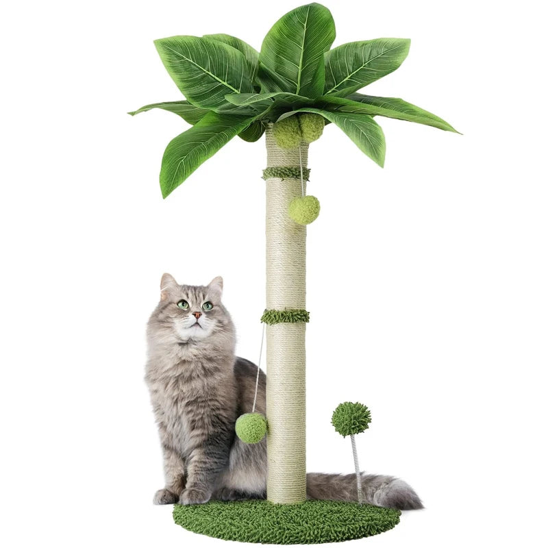 Cat Scratching Pos for Cats 65cm Tall Scratch Tree with Premium