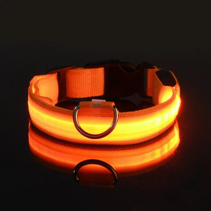 Dog Collar Nylon LED Night Safety Flashing Glow In The Dark Pet Dog