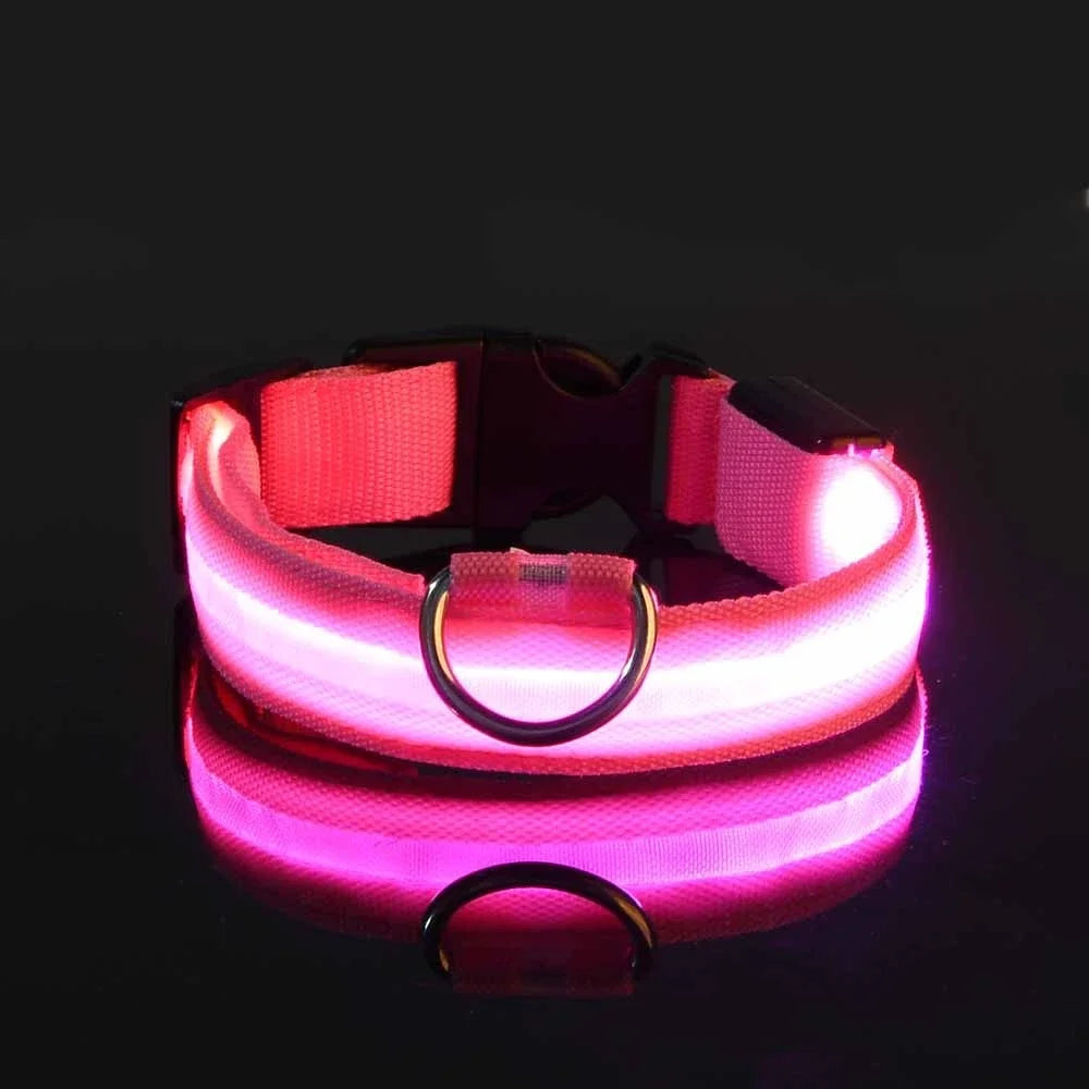 Dog Collar Nylon LED Night Safety Flashing Glow In The Dark Pet Dog