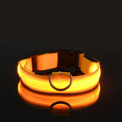 Dog Collar Nylon LED Night Safety Flashing Glow In The Dark Pet Dog