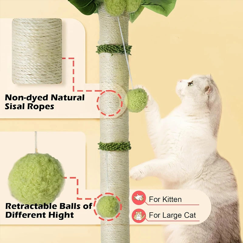 Cat Scratching Pos for Cats 65cm Tall Scratch Tree with Premium